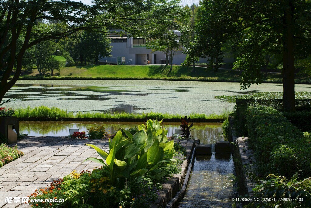 宁静湖畔花园景致