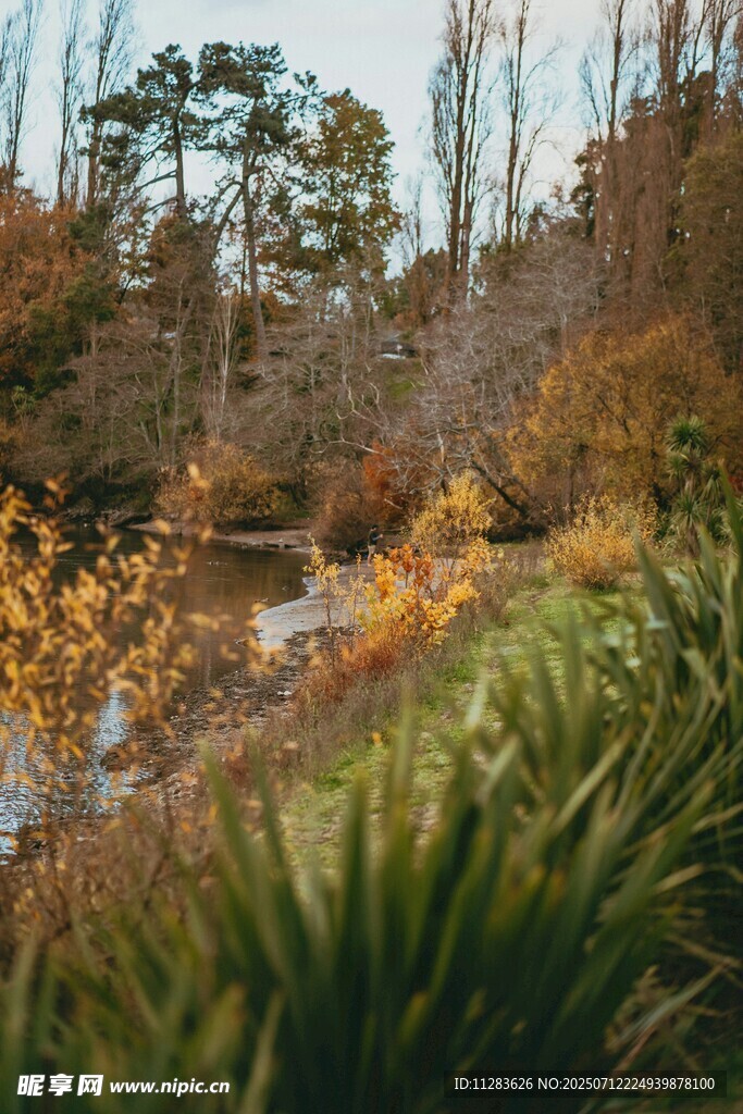 秋日溪边美景