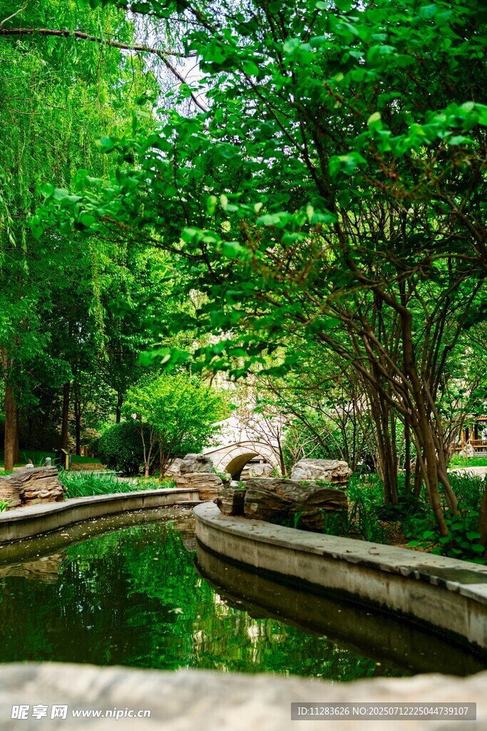 清幽林间水景