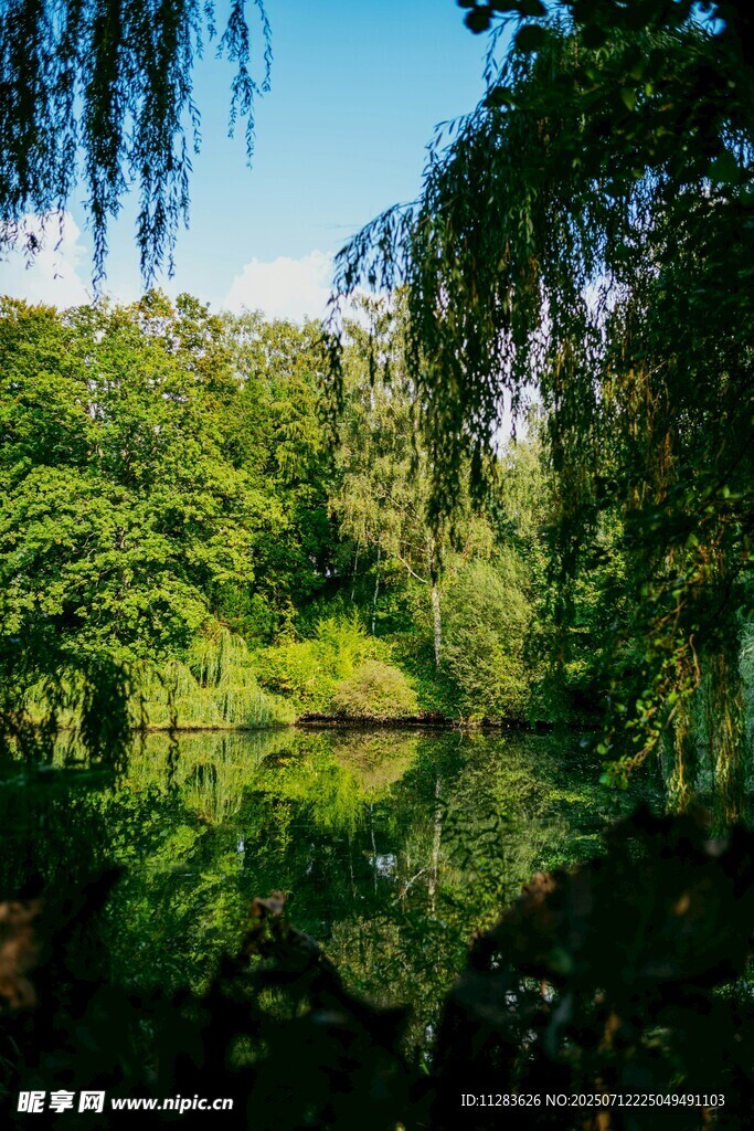 湖畔绿荫美景