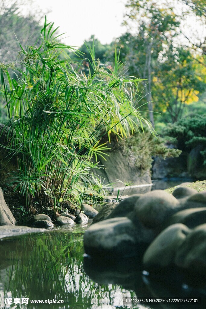 溪边繁茂绿植与嶙峋怪石