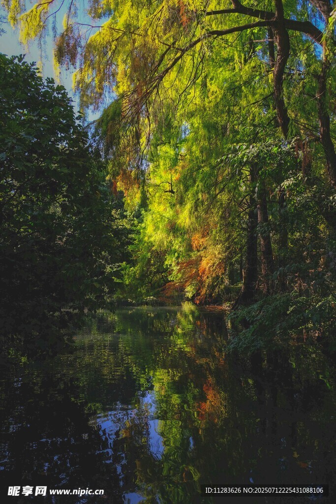 林间静谧水景