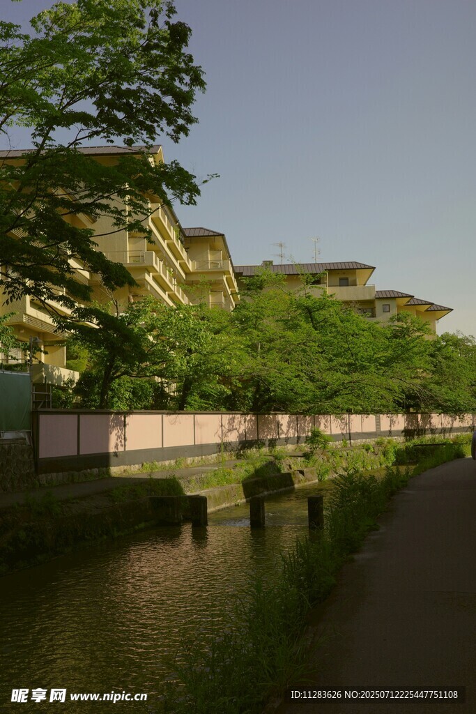 河畔绿树环绕的建筑景观