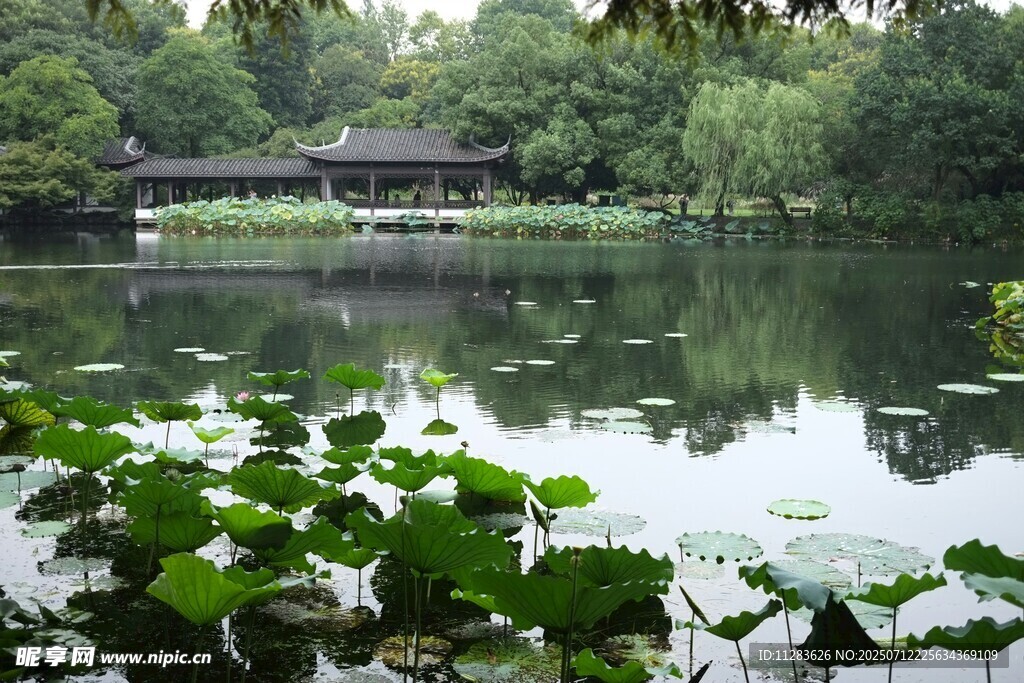 湖畔绿意中的中式建筑景观