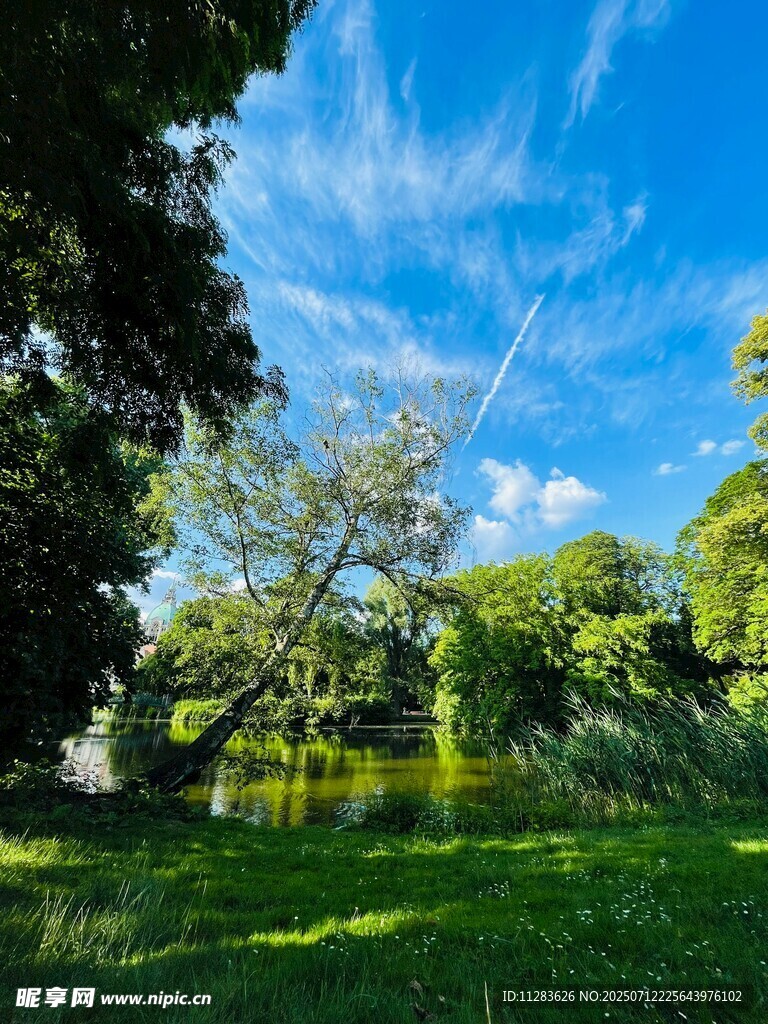 池塘风景