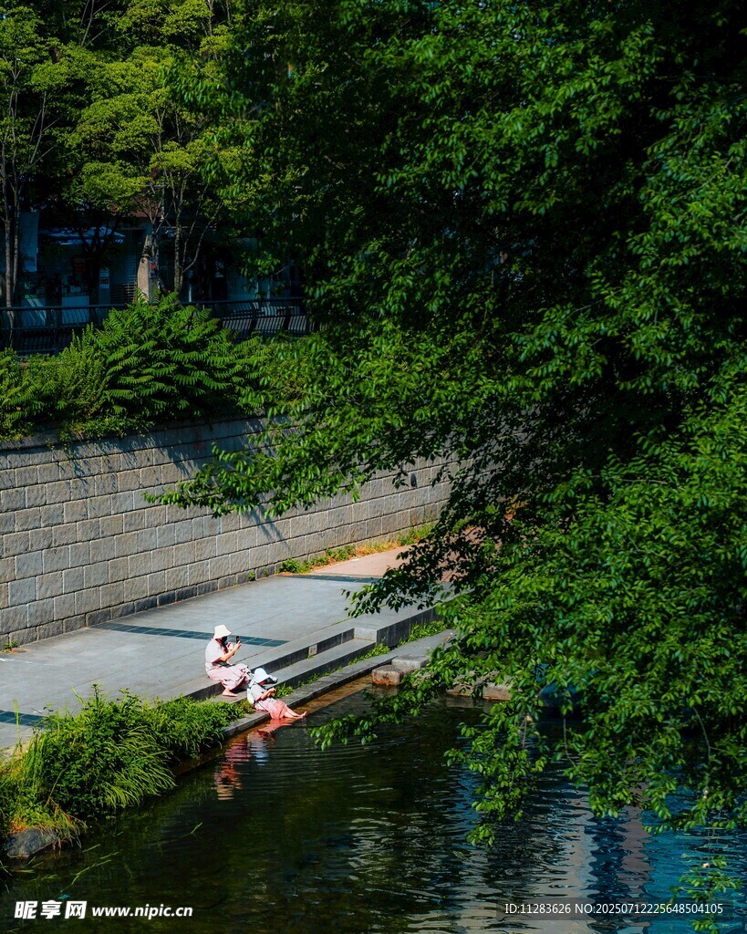 河畔绿荫下的休闲场景