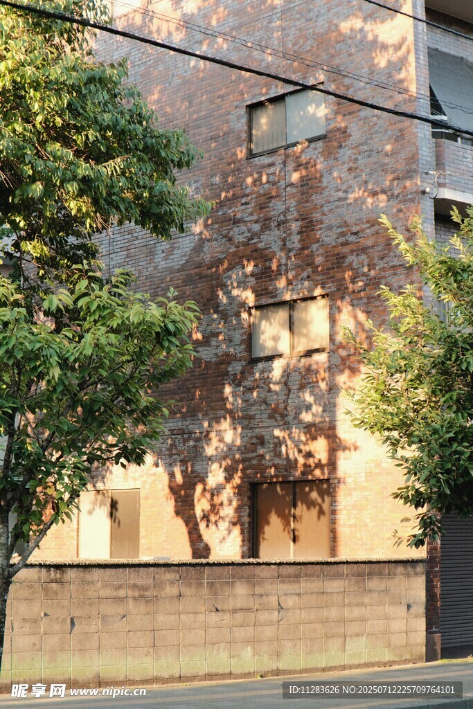城市中树木旁的建筑外观