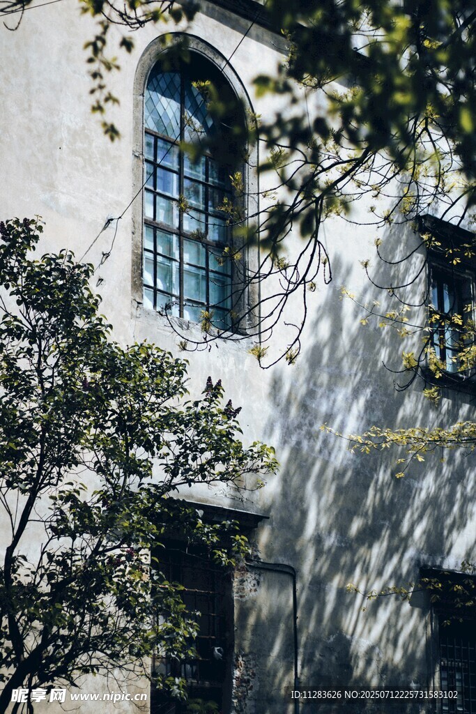 复古建筑窗户与繁茂绿植
