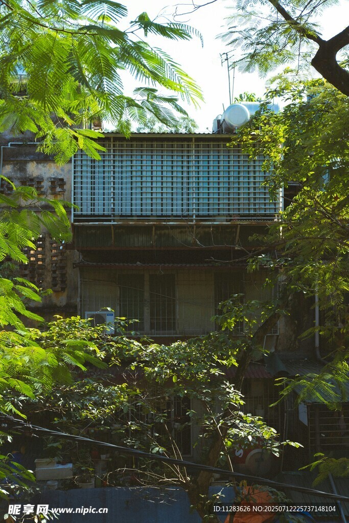 绿树环绕中的别致建筑
