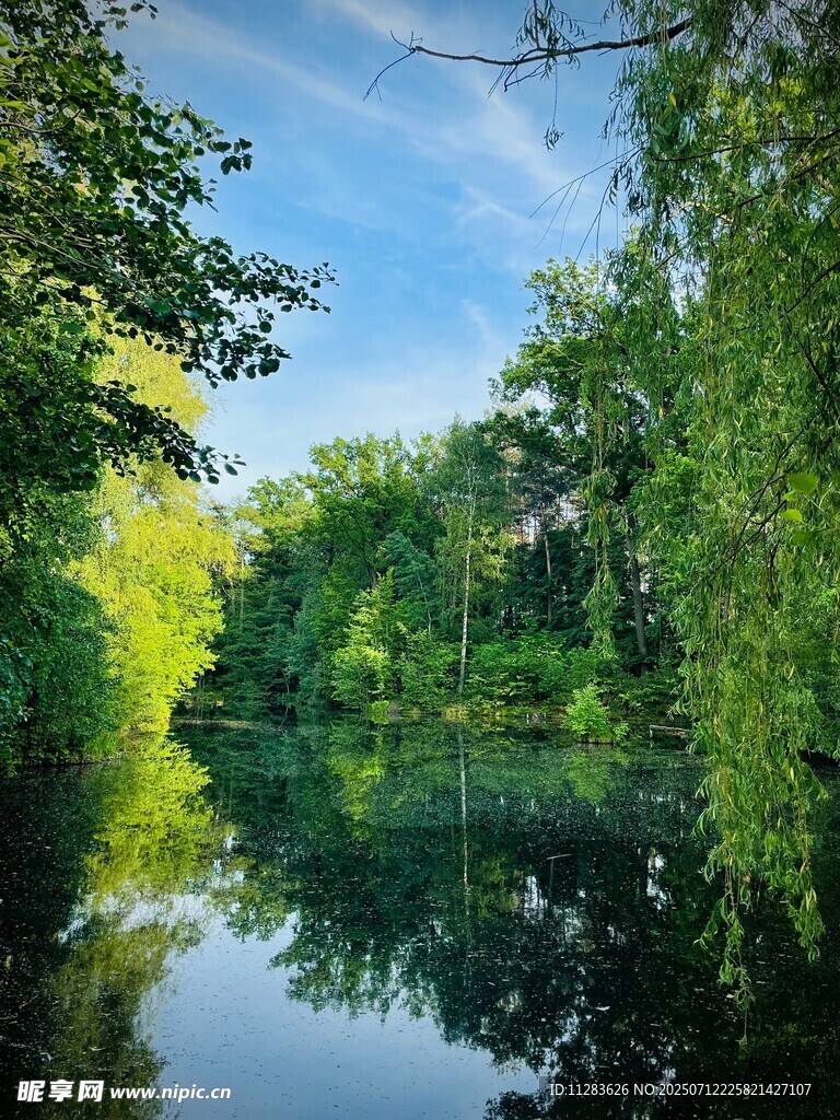 湖畔绿树成荫的静谧风光