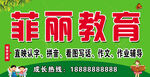 菲丽教育