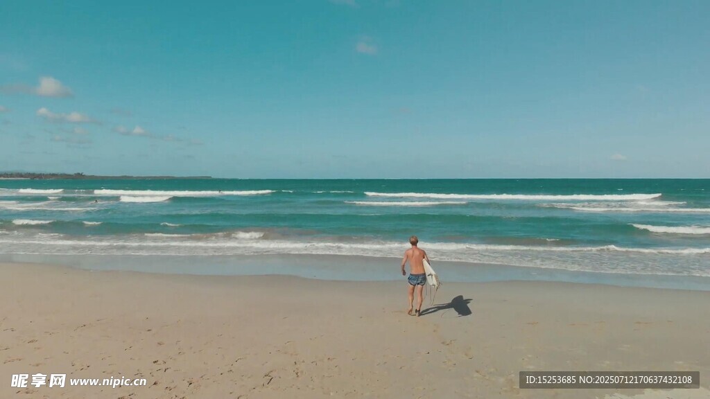 海滩上人与狗的惬意时光