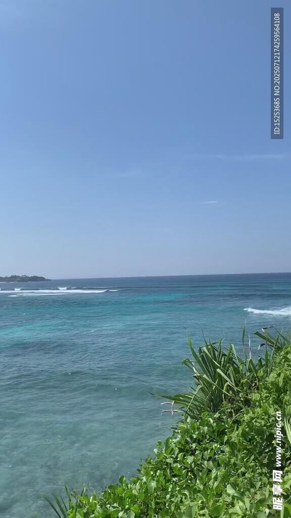 碧海蓝天旁的翠绿植被