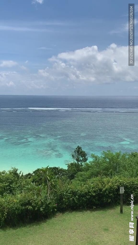 美丽海景与岸边绿植
