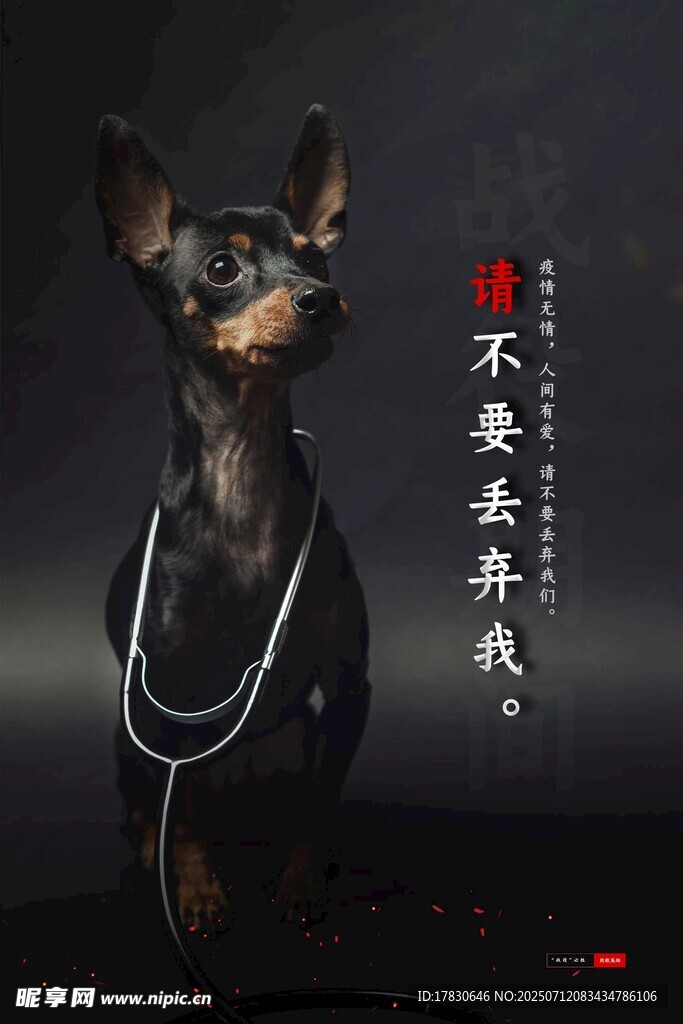 时尚装扮的可爱迷你小狗