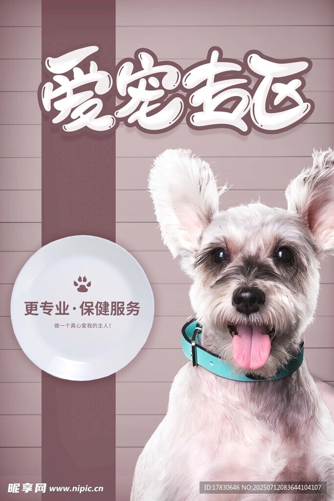可爱宠物狗展示