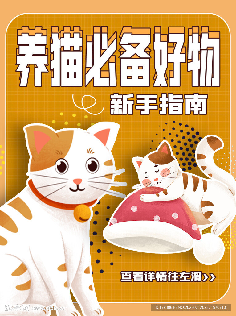 养猫好物新手指南