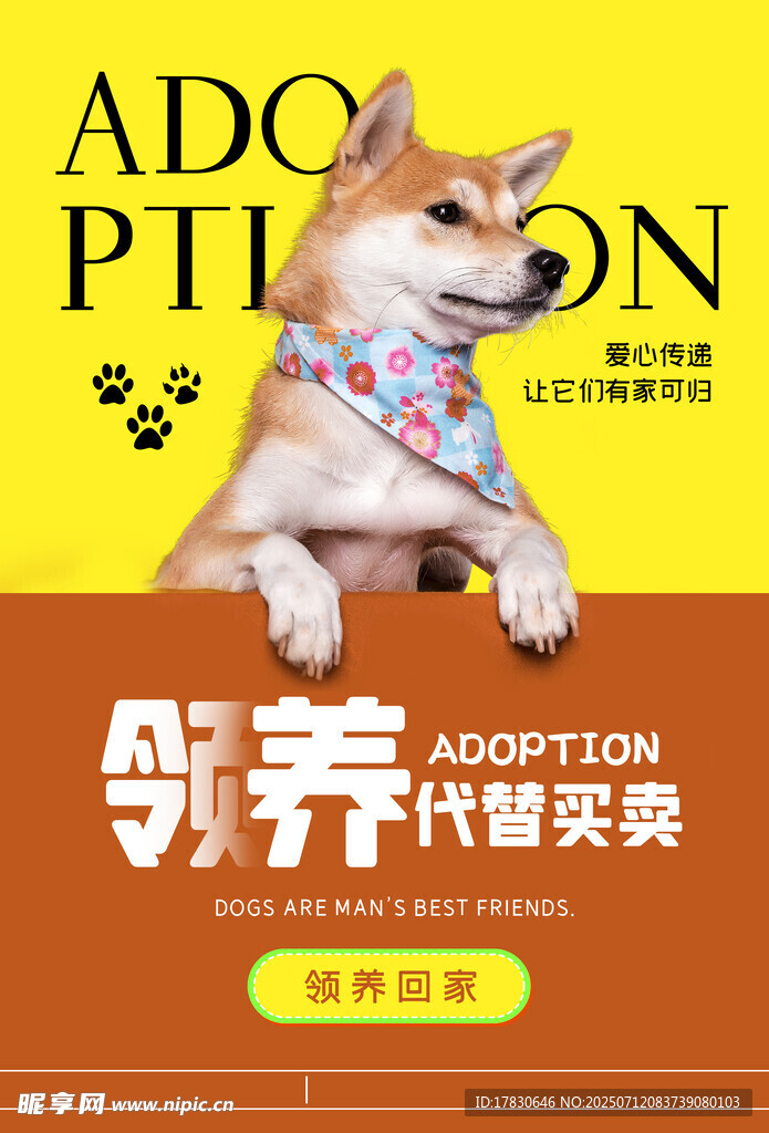 可爱小狗领养宣传海报