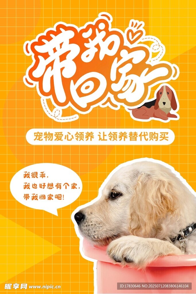 萌宠狗狗可爱瞬间