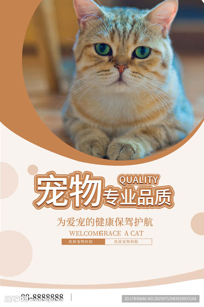宠物海报
