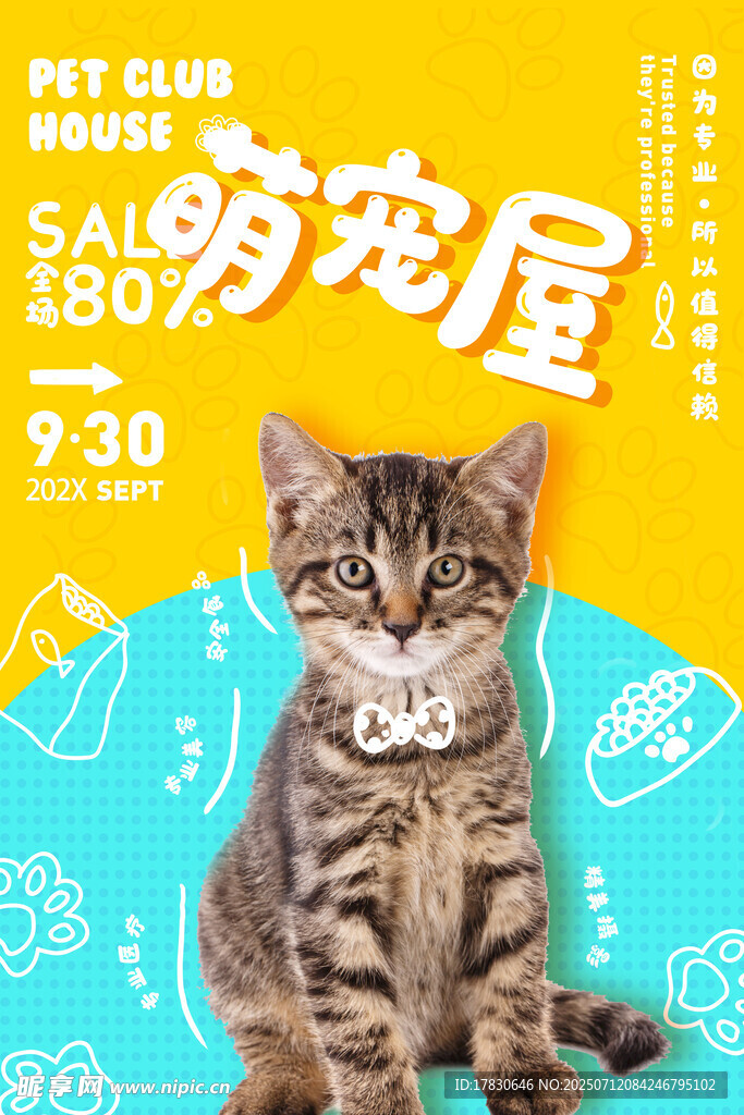 可爱小猫亮相萌宠屋
