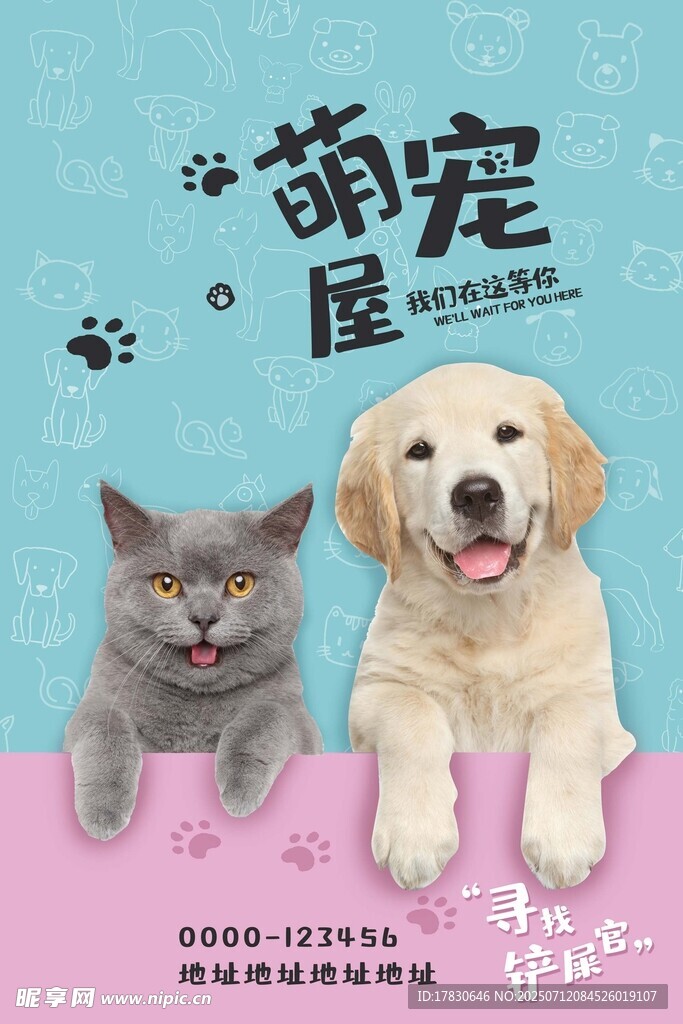 萌宠猫咪狗狗可爱同框