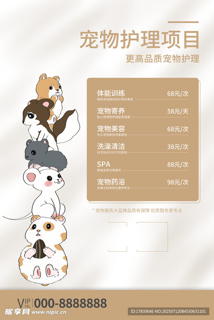 宠物护理项目展示