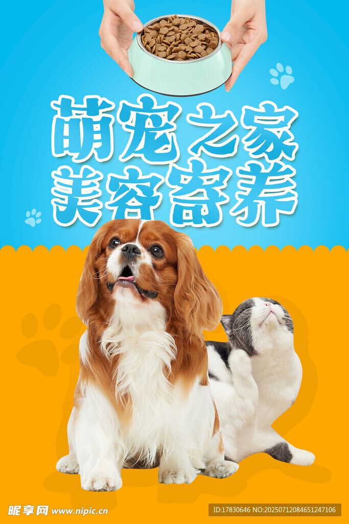萌宠狗狗享受美味宠物粮