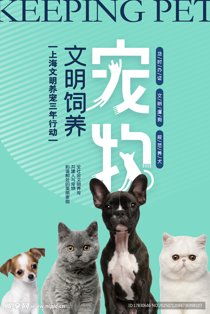 文明养宠宣传图