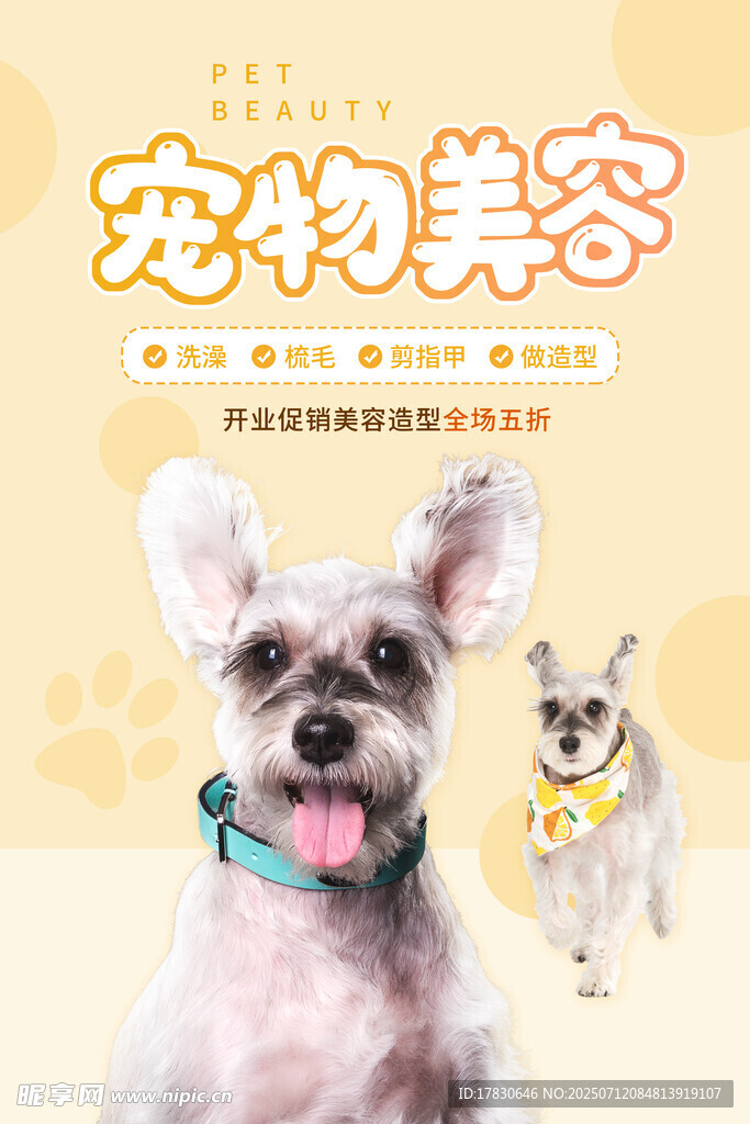 可爱宠物美容宣传图