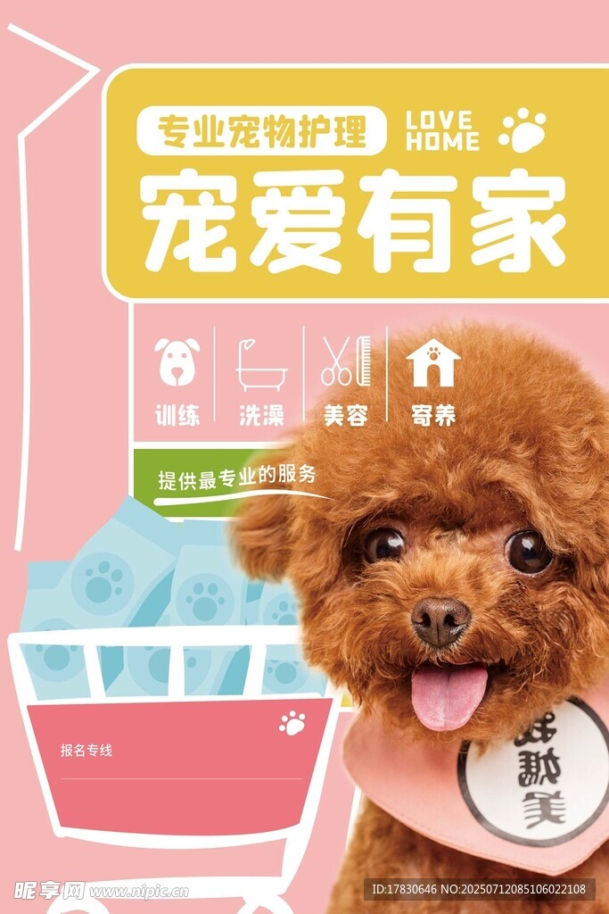 可爱泰迪展示宠物沐浴产品