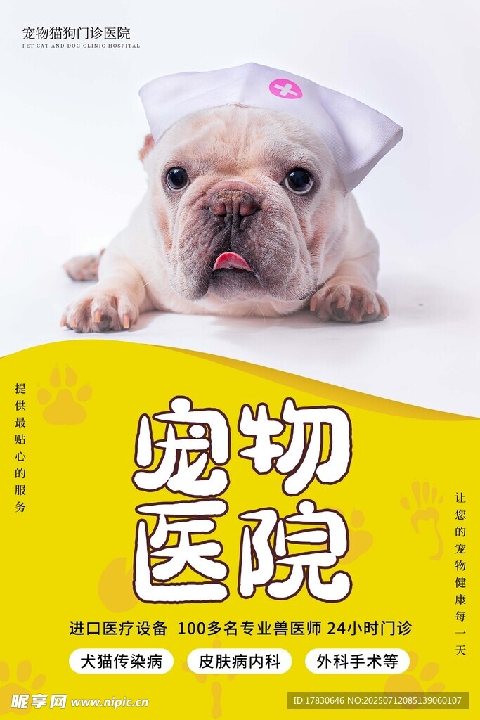 戴护士帽的可爱宠物狗
