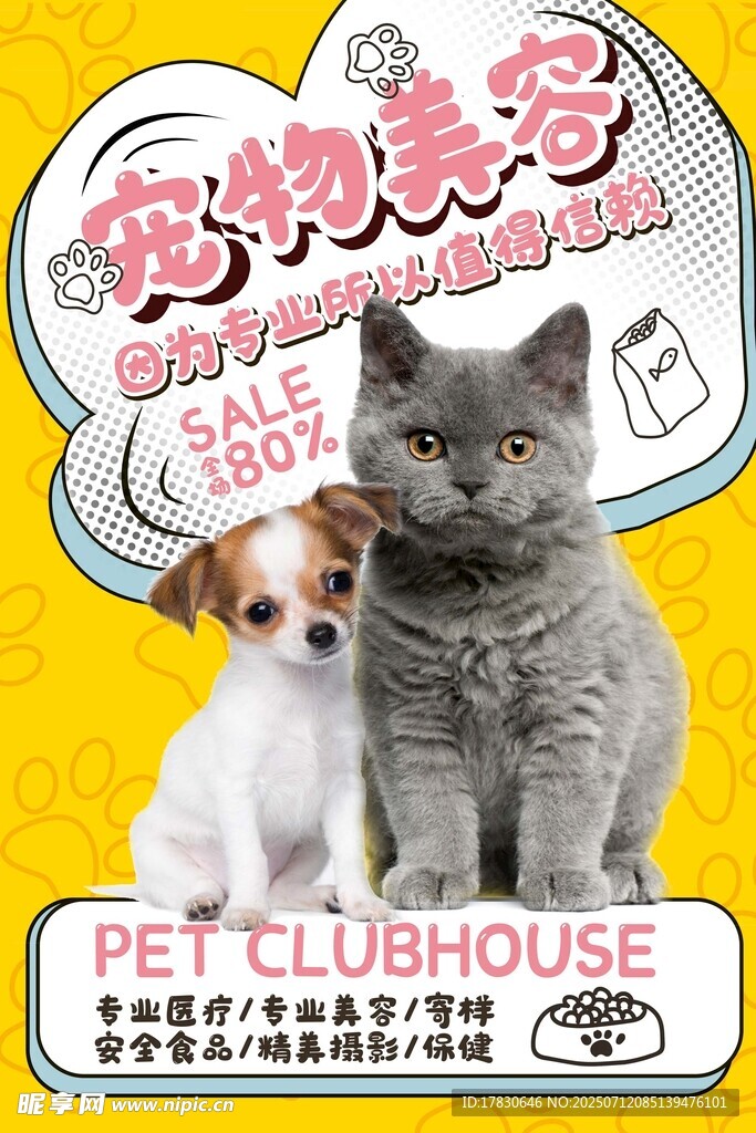 宠物之家的可爱猫狗