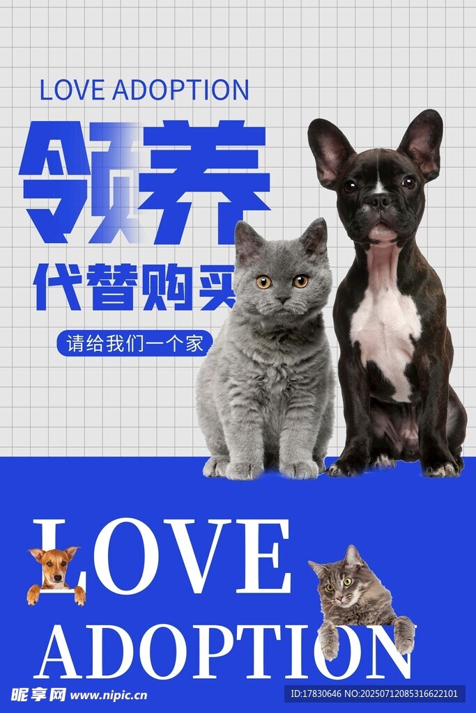 领养代替购买宣传图