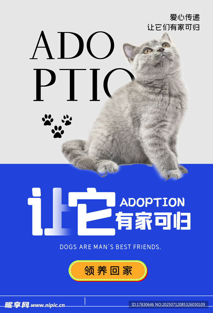 可爱猫咪领养宣传海报