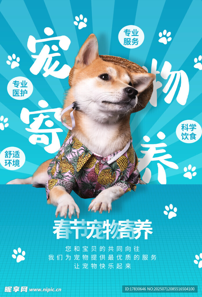 可爱柴犬春日宠物窝装扮