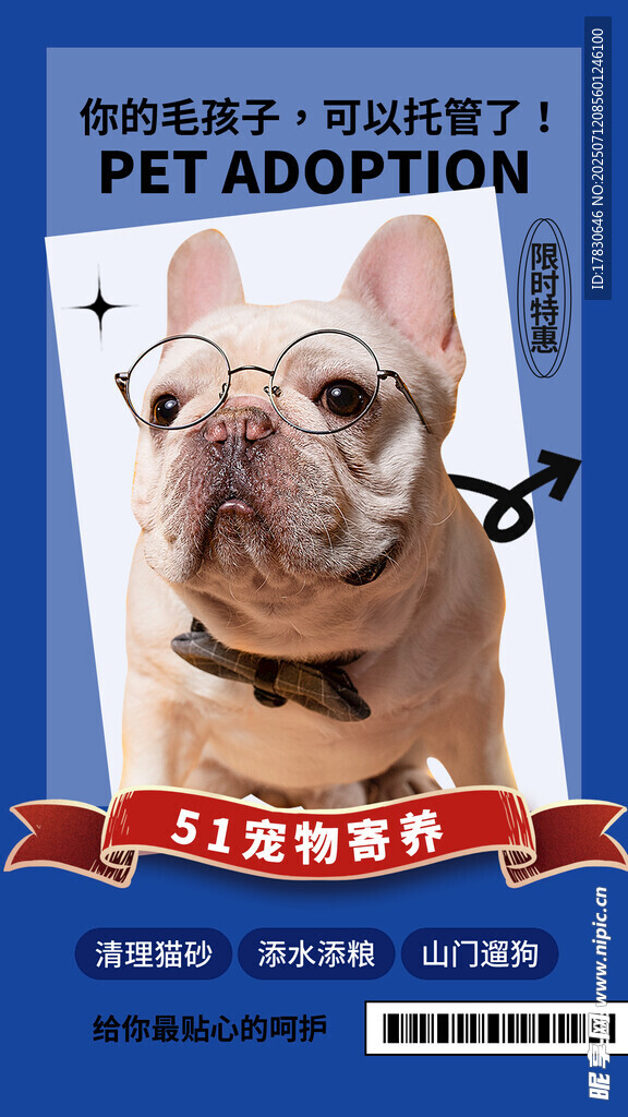 宠物领养宣传海报