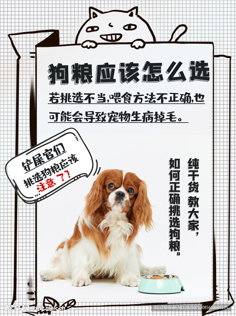 狗狗选购指南