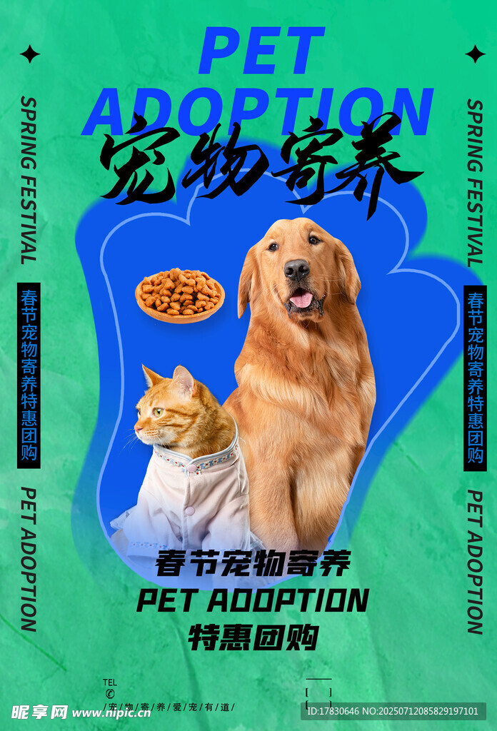 宠物领养宣传海报