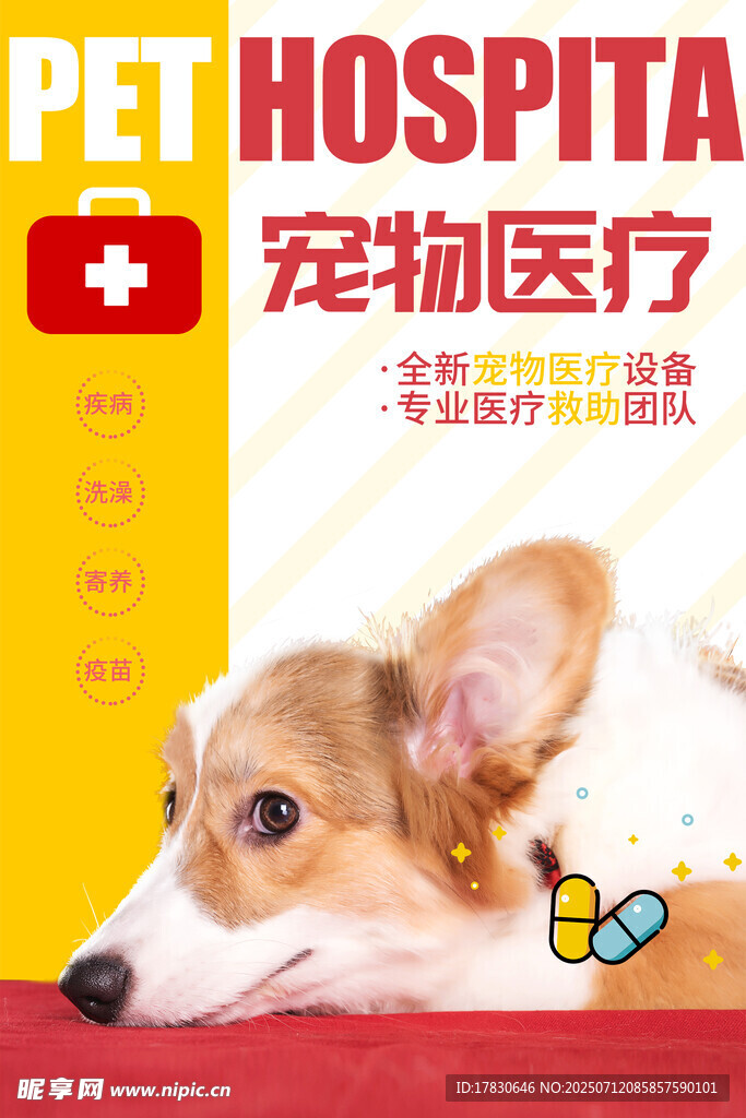 宠物海报
