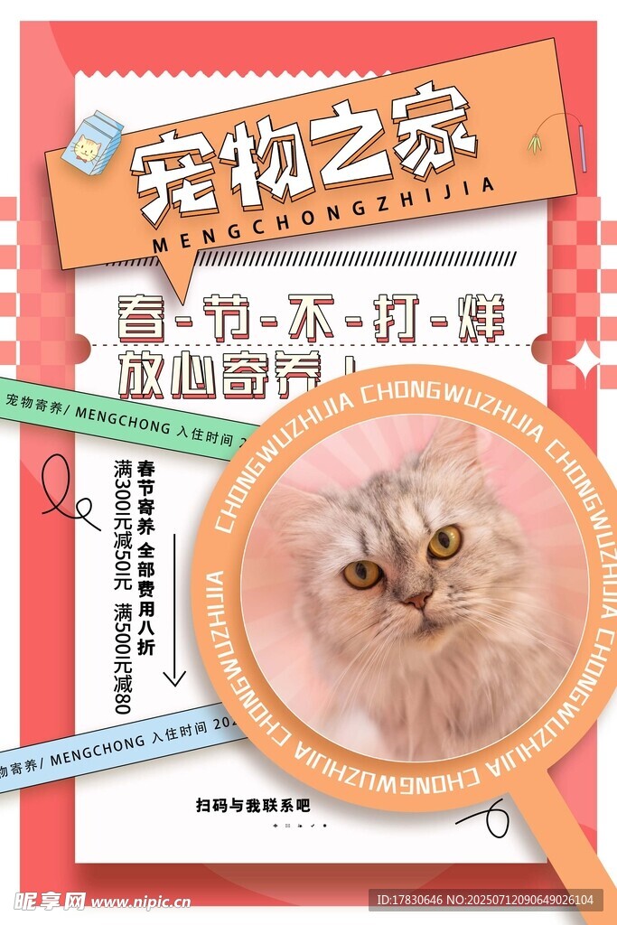 可爱猫咪之萌趣瞬间