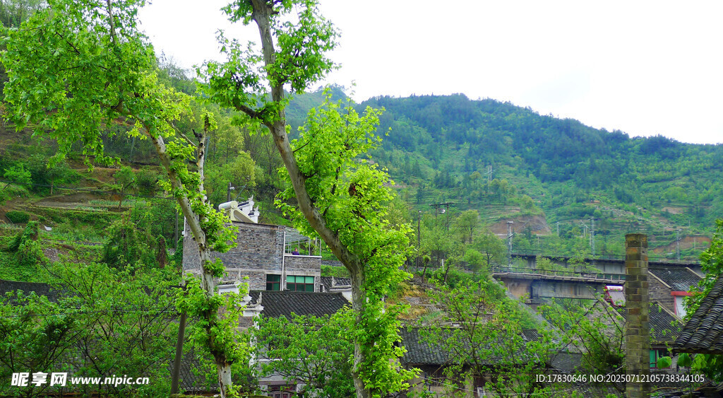春到山村