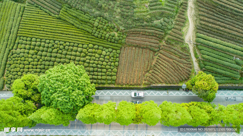 俯瞰公路旁的田园风光