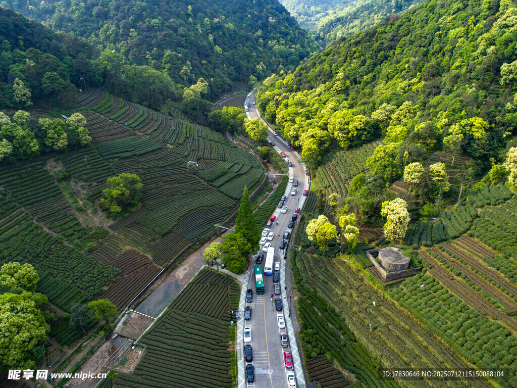 山间蜿蜒公路绿意盎然