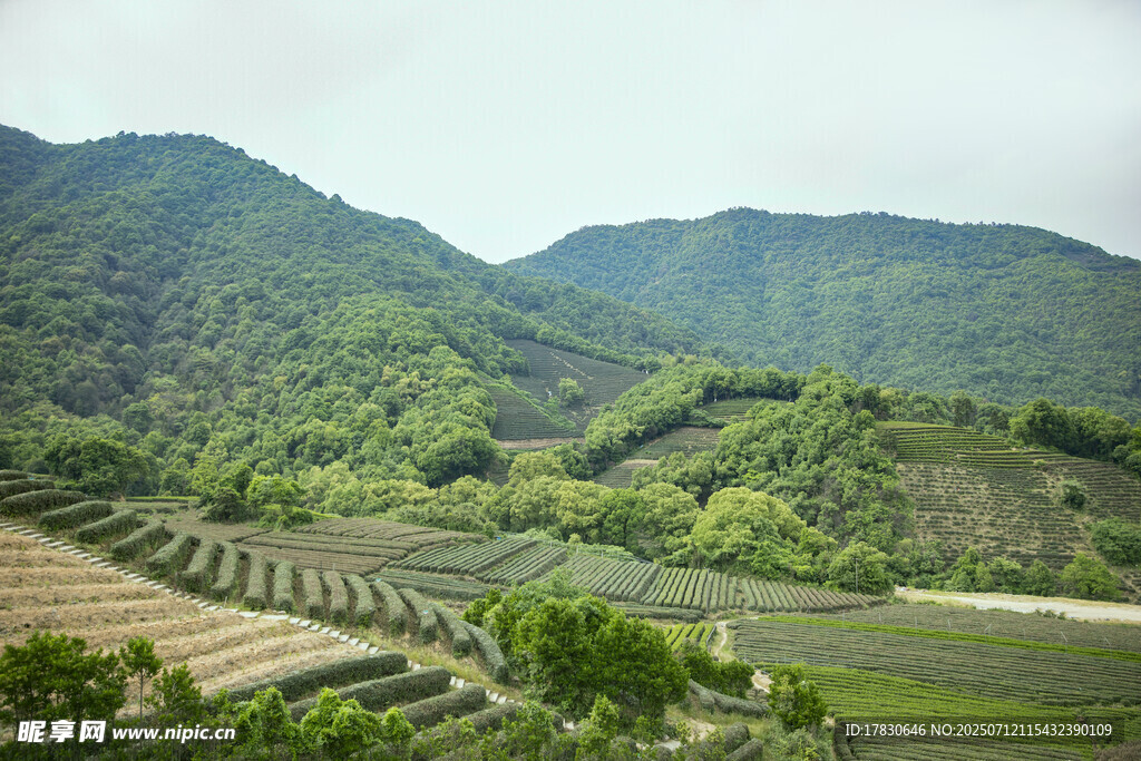 山间梯田美景