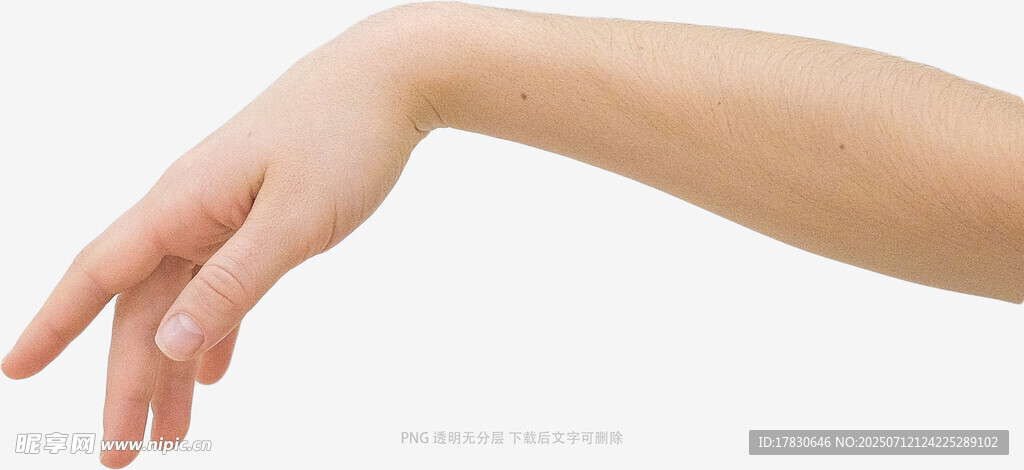 伸展的柔美手部