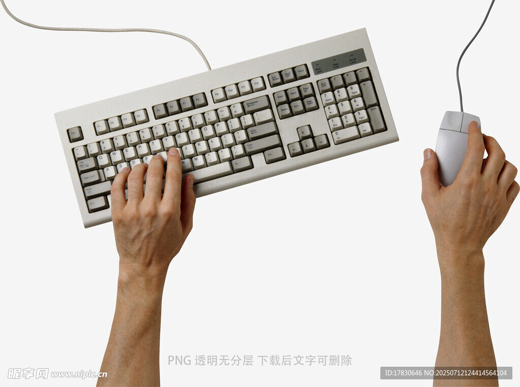 双手操作键盘鼠标场景