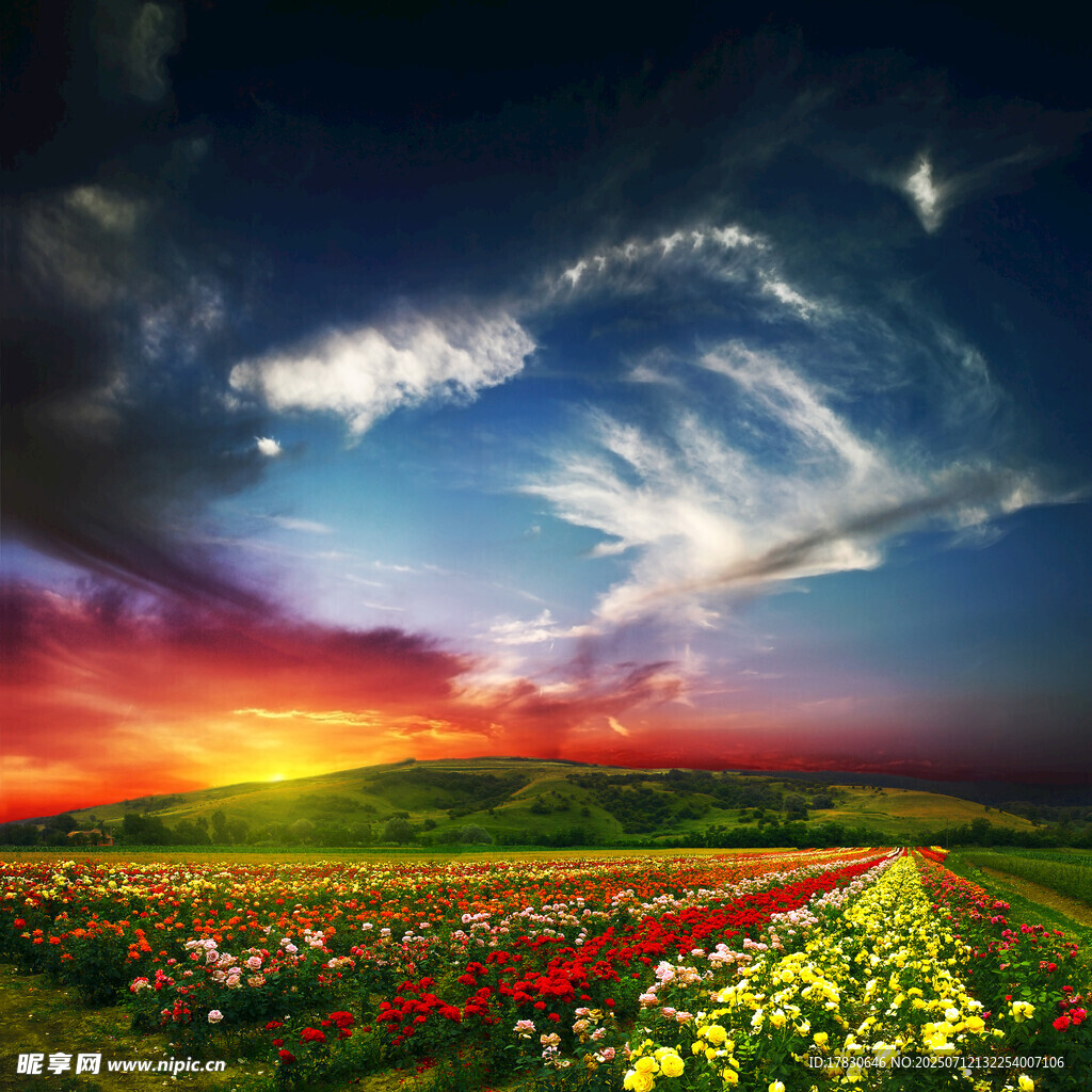 绚丽田野上的梦幻天空
