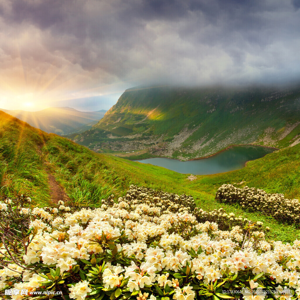 山间花海伴湖景日出