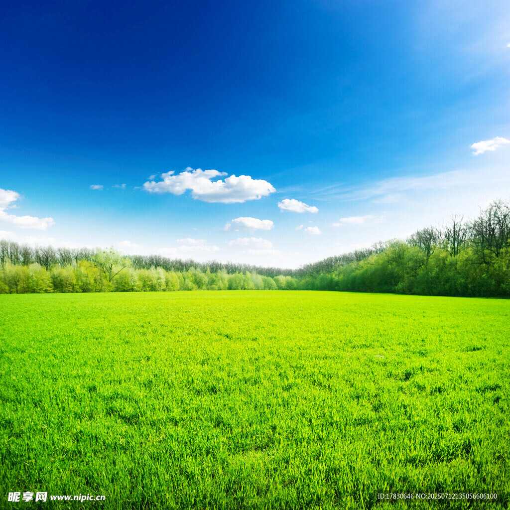 翠绿田野与蓝天美景